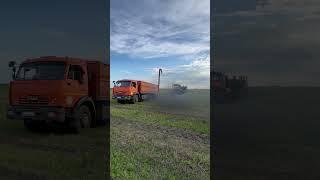 Чудес не бывает #сельскоехозяйство #farming #трактор #фермер #омскаяобласть #agriculture #кировец