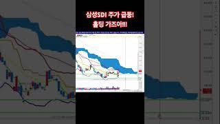 삼성SDI 주가 급등 홀딩 가즈아!!!