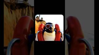 This penguin tried the fastest roller coaster in the world #zipcoaster #rollercoaster #ai #shorts
