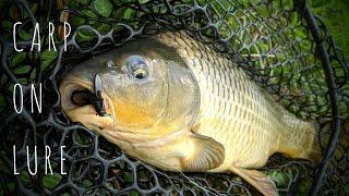 Lured Carp - Catching Carp on Soft Plastics. Part 1