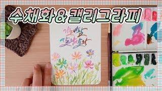 수채화&캘리그라피/코스모스/  별나라 일러스트