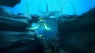 A TURTLE'S TALE - Shark - Film Clip