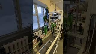 Автоматический укупорщик тары. Укупорочный автомат. Укупорка бутылок. ПрактикМ #shorts #moments