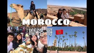 Morocco VLOG + Marrakech Travel Tips 摩洛哥旅遊小貼士 | Kerryn