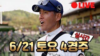 느낌은 딱인데...