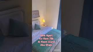 For Rent 1Bhk Apart 78k Al Reem island Abu Dhabi #abudhabiproperties #affordableluxury #1bhkforrent