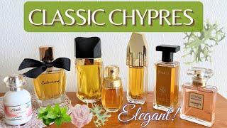 Classic and Modern Chypre Perfumes | Elegant, Sophisticated, Timeless