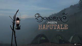 Haputale | Unseen Haputale 01 Discover the Hidden Gems of Sri Lanka’s Misty Paradise | සීතල හපුතලේ