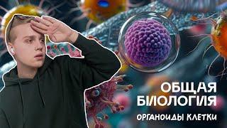 Биология ЦТ | Органоиды клетки | Ян Менделеев