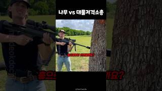 나무 vs 대물저격소총