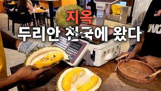 두리안 먹을 땐 여기로! 말레이시아 현지인 추천 14만 원짜리 두리안 먹방(Musang King Durian)