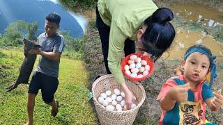 Harvest duck eggs and bring them to the market to sell.The nice guy helped me fix the pig pen.