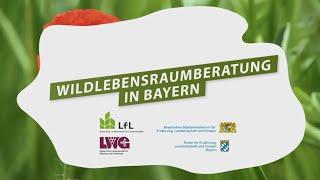 Wie funktioniert die Wildlebensraumberatung in Bayern?