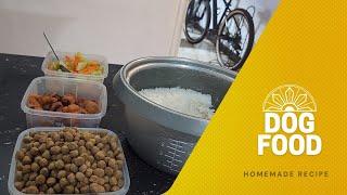 Dog Food Recipe || How to feed your dogs