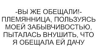 -Вы же обещали!- племянница, пользуясь моей забывчивостью, пыталась внушить, что я обещала ей дачу