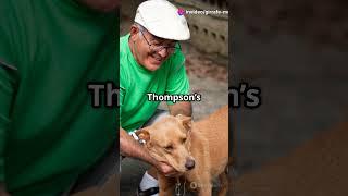 How a Stray Dog Changed an Old Man's Life!