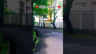 ️ OUSL ඩොටේ ️