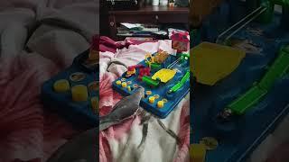 перчик играет в игру