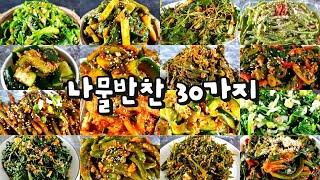 반찬 고민 끝! 나물반찬30가지/반찬/밑반찬/도시락/dishes recipe