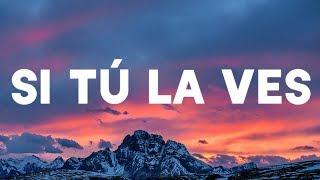 Nicky Jam - Si Tú La Ves (Lyrics / Lyric Video) ft. Wisin