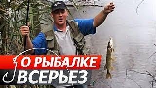 Ловля Карпа на Поплавочную Удочку. "О Рыбалке Всерьез" видео 60.