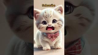 Cute Cat recite Tasbih "SubhanAllah "#trending #shorts #fyp #funny #cats #tasbihsubhanAllah #viral