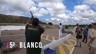 TIRADA Entrenamiento PALOMAS a BRAZO | TIRADA de PICHON | BLANCOS A BRAZO