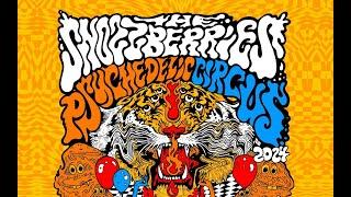 Psychedelic Circus 4 LIVE at Asheville Music Hall 11-29-24