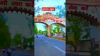 বৃন্দাবন গকুল Brindavan Gokul #shortvideo #shrikrishna