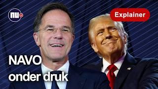 Kan 'Trump-fluisteraar' Rutte Trump én NAVO tevreden houden? | NU.nl | Explainer