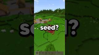 BEST BEDROCK 1.21 SEED! #shorts