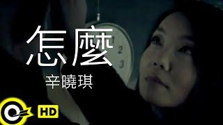 辛曉琪 Winnie Hsin【怎麼 What’s wrong】Official Music Video