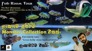 The best ever Monster Collection in Sri Lanka  | ලංකාවේ සුපිරිම Monster Collection එක ️|