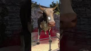 ( COW MUTANT ) ZOOCHOSIS VS INSIDE OUT 2 CHARACTERS - HORROR ZOO IN GARRY'S MOD ! #zoochosis #shorts