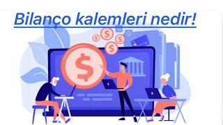 BİLANÇO KALEMLERİ NEDİR ? NASIL YORUMLANIR ? #para #finans #borsa