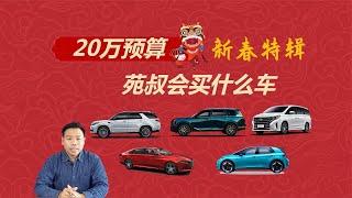 20万左右，苑叔会买什么车，都是家用实力派