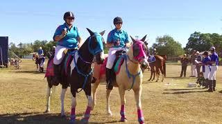 Australian Tentpegging Championships - Scone Horse Festival