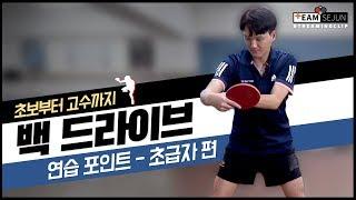 (ENG SUB)[Team Sejun] 백 드라이브 연습 포인트 - 초급자 편