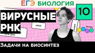 #10 Вирусные РНК | Задачи 27 на синтез белка | Правильное оформление | ЕГЭ Биология