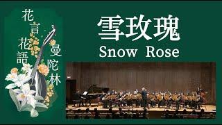 Snow Rose《雪玫瑰》：武藤理恵 曲｜Taiwan Mandolin Ensemble｜指揮：曾煒昕、臺灣曼陀林樂團