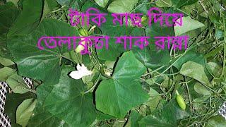 টাকি  মাছ দিয়ে তেলাকুচার পাতা রান্না || Easily Telakucha Shak Cooking.