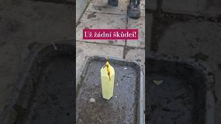 UŽ ŽÁDNÍ ŠKŮDCI VE SKLENÍKU- dezinfekce skleníku #greenhouse #sklenik #zahrada #gardening #farmar