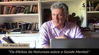 Os Efeitos da NATUREZA sobre a SAÚDE MENTAL | Ecopsicologia