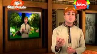 Rab e Alam Ne Tujh Ko Bulaya Wahan By Muhammad Waseem Ali Qadri.flv