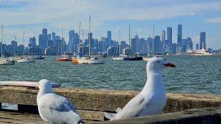 Welcome To Williamstown (Victoria Australia April 2021)