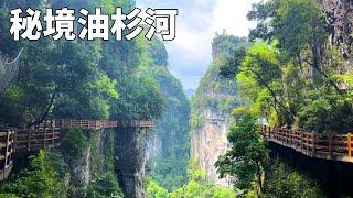 鲜为人知的秘境之地！贵州油杉河风景区，这里的山峰峡谷宛如仙境【行走世界的北京老刘】