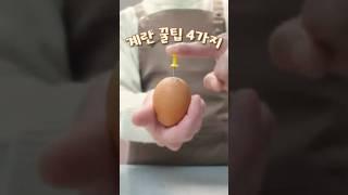 평생 써먹는 계란 꿀팁