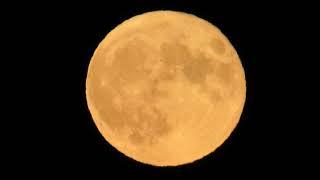 Full moon montage.  moonrise stills and video