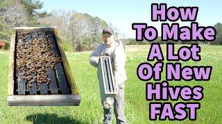 How To Make A lot Of New Hives FAST!!!