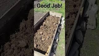 #goodjob #готово #навоз #удобрение #удобрения #земля #чернозем #черноземье #теплица #огород
